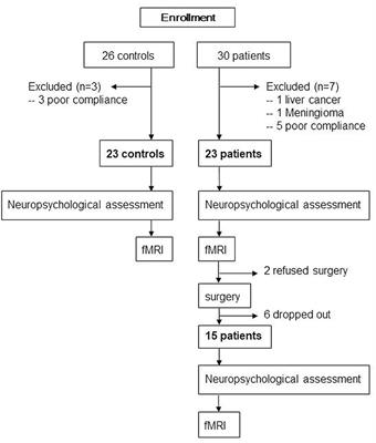 Altered Intrinsic Brain Activity and Functional Connectivity Before and After Knee Arthroplasty in the Elderly: A Resting-State fMRI Study